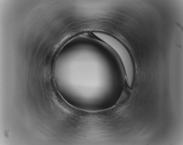 X0000099480530200805231858