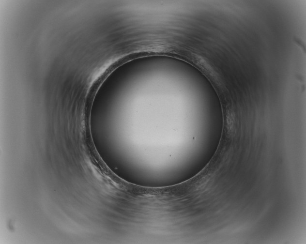 X0000099480532200805231858