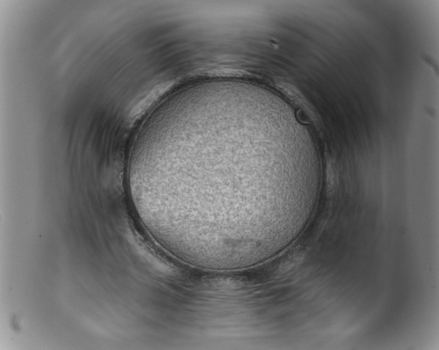 X0000099480533200805231858