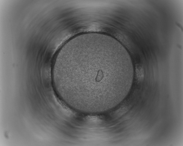 X0000099480534200805231858