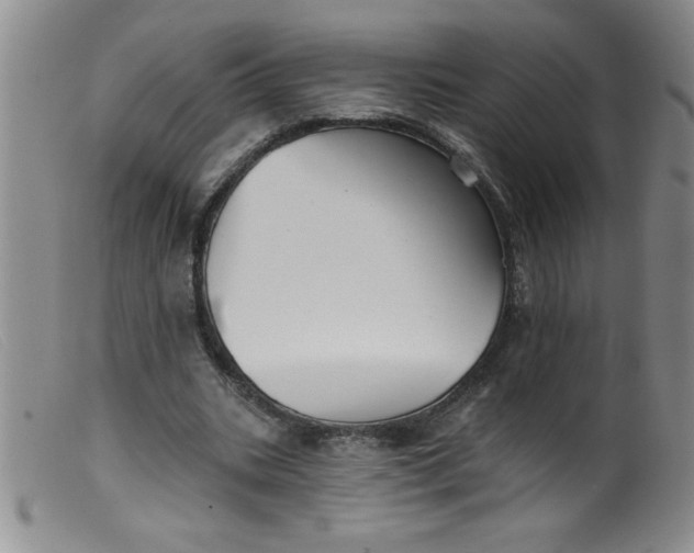 X0000099480535200805231858