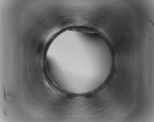 X0000099480536200805231858