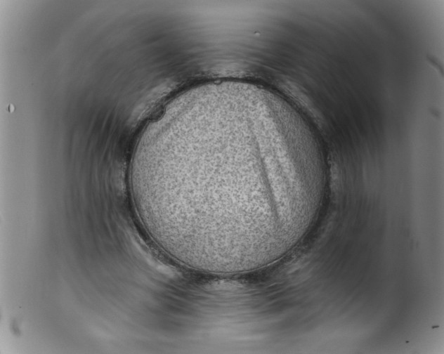X0000099480537200805231858