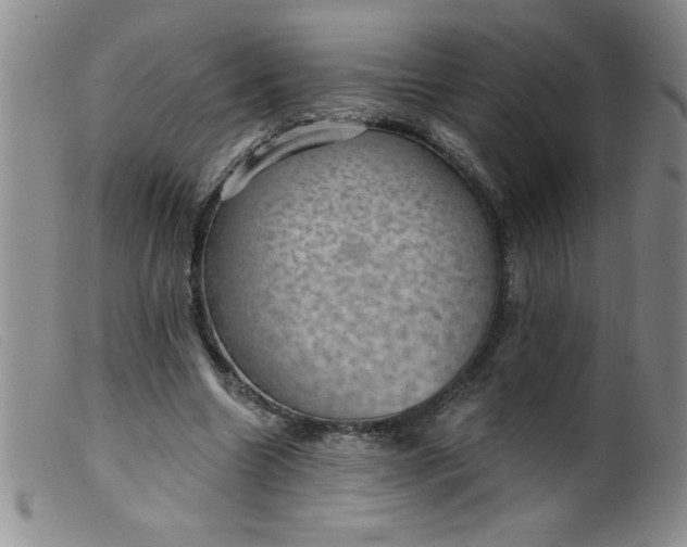 X0000099480538200805231858