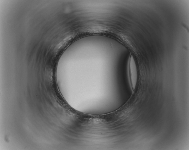 X0000099480539200805231858
