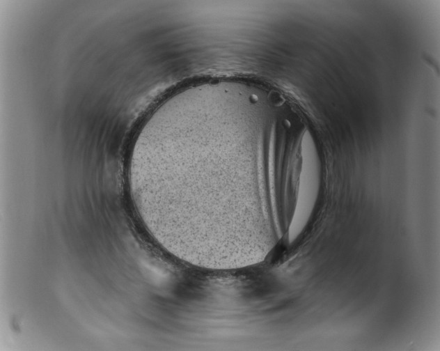X0000099480540200805231858