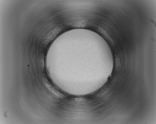 X0000099480541200805231858