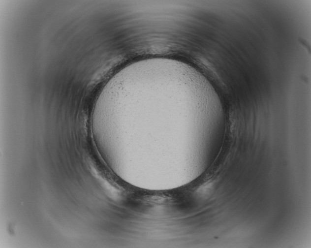 X0000099480542200805231858