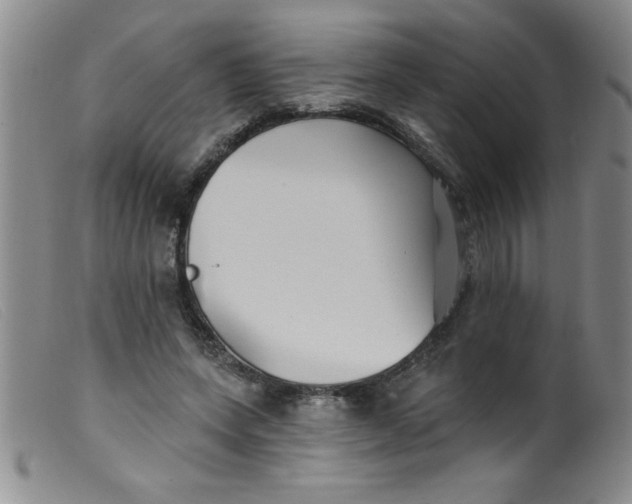 X0000099480543200805231858