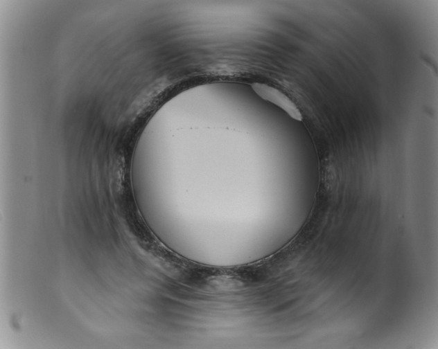X0000099480544200805231858