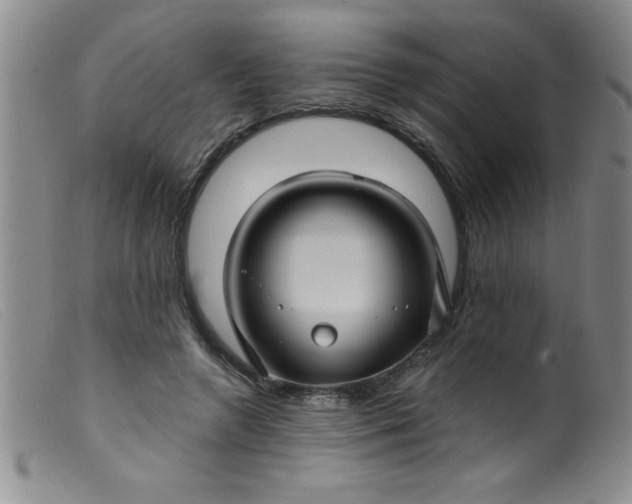 X0000099480546200805231858