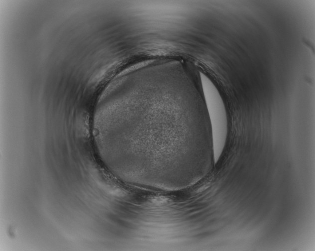 X0000099480547200805231858