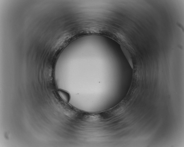 X0000099480548200805231858