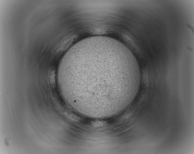 X0000099480549200805231858