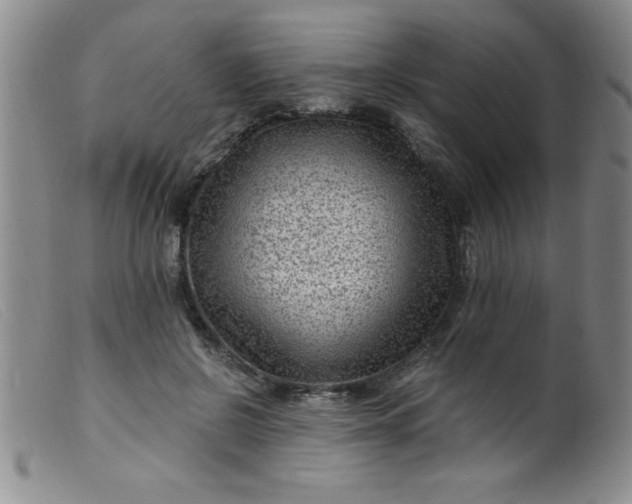 X0000099480550200805231858