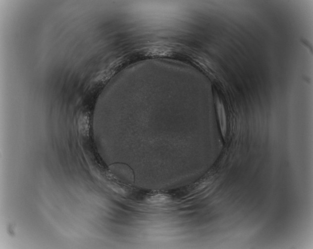 X0000099480551200805231858