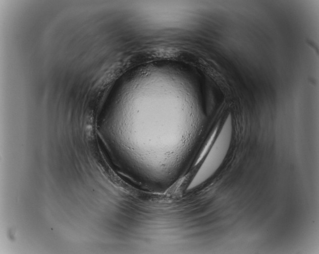 X0000099480553200805231858