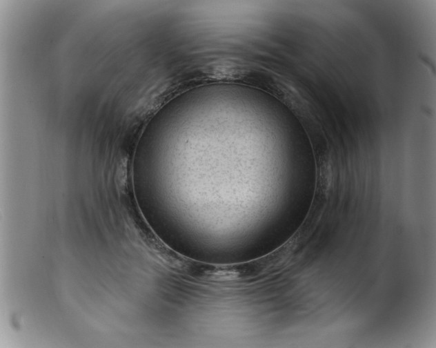 X0000099480554200805231858