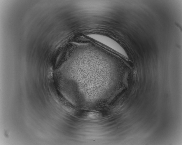 X0000099480555200805231858