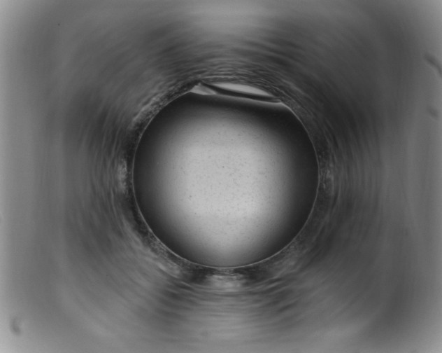 X0000099480556200805231858
