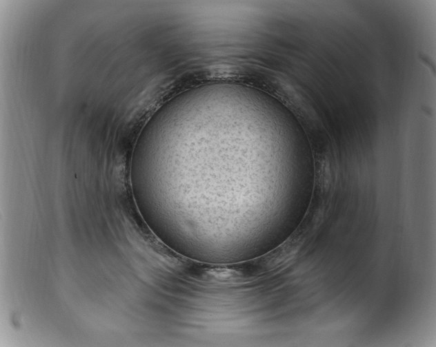 X0000099480557200805231858