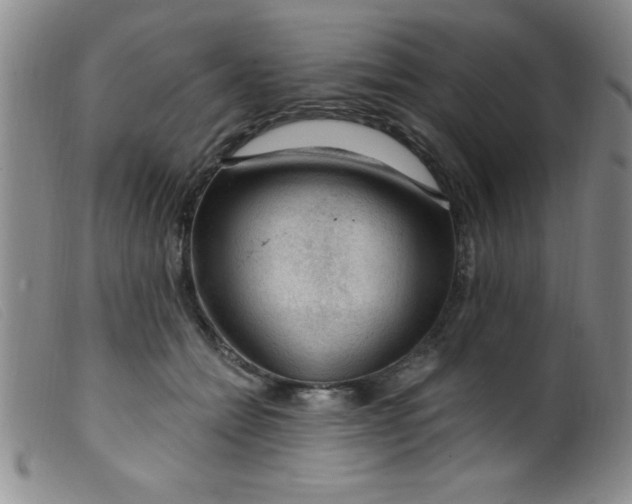 X0000099480558200805231858