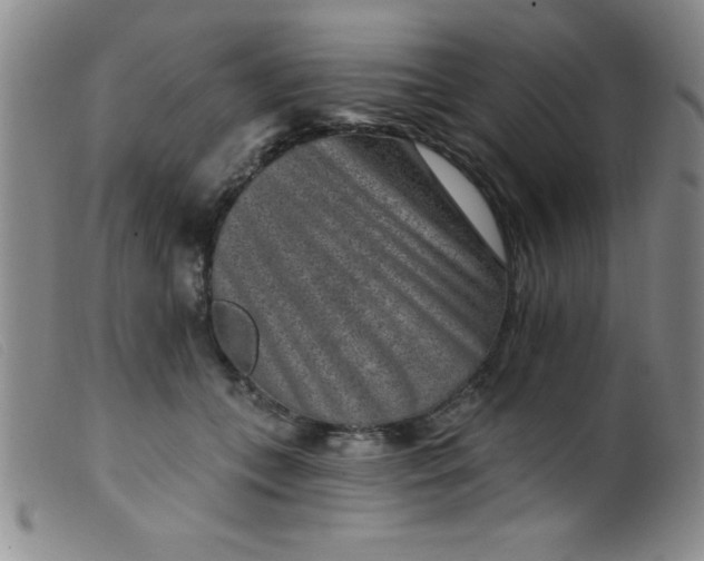 X0000099480559200805231858