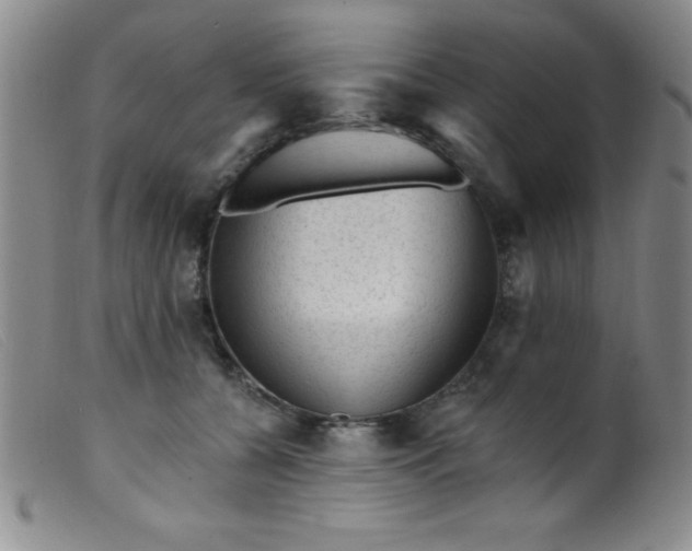 X0000099480560200805231858
