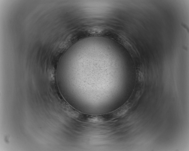 X0000099480561200805231858