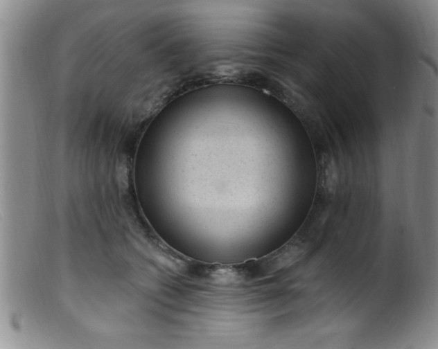 X0000099480562200805231858