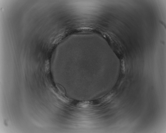 X0000099480563200805231858
