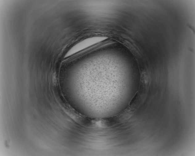 X0000099480564200805231858