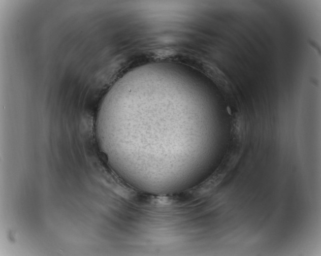 X0000099480565200805231858