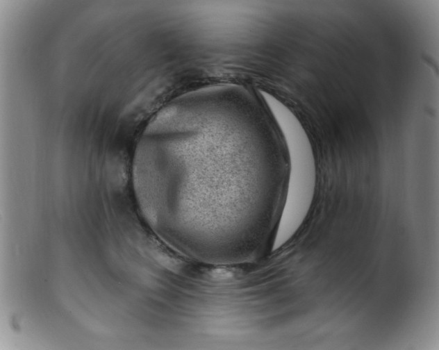 X0000099480566200805231858
