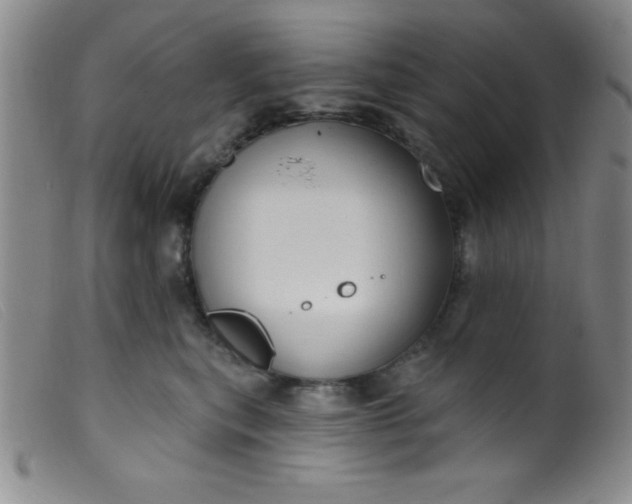 X0000099480567200805231858