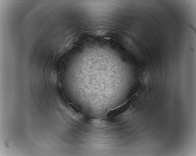 X0000099480568200805231858