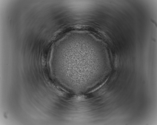 X0000099480569200805231858