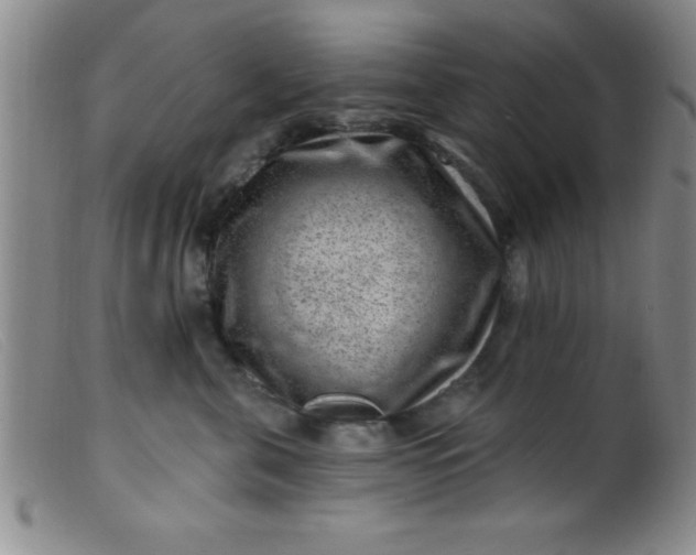 X0000099480571200805231858