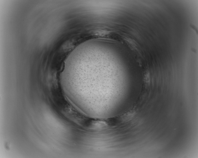 X0000099480572200805231858