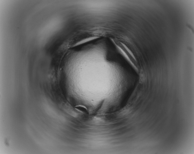 X0000099480573200805231858
