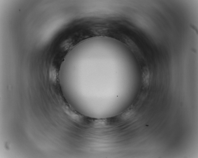 X0000099480574200805231858