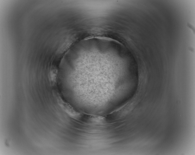 X0000099480576200805231858