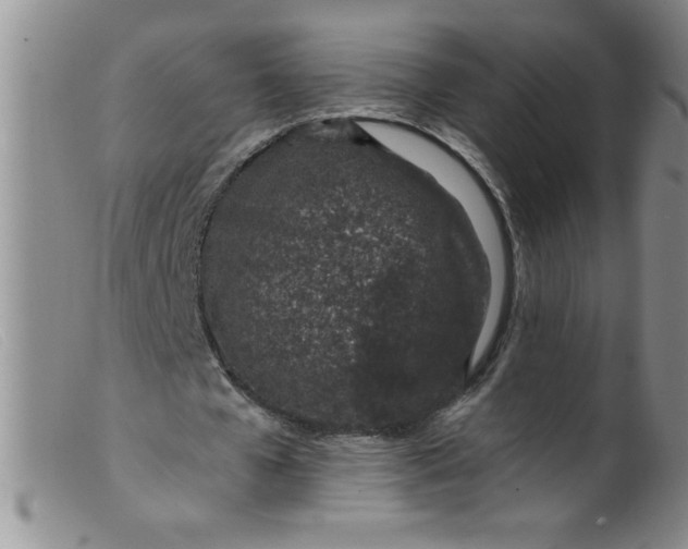 X0000099480577200805231858
