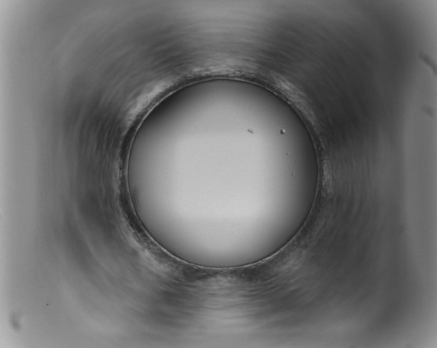 X0000099480578200805231858