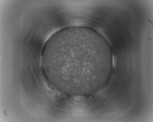X0000099480579200805231858