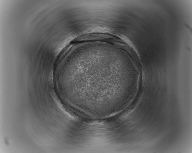 X0000099480581200805231858