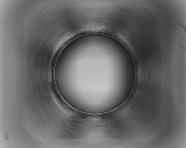 X0000099480582200805231858