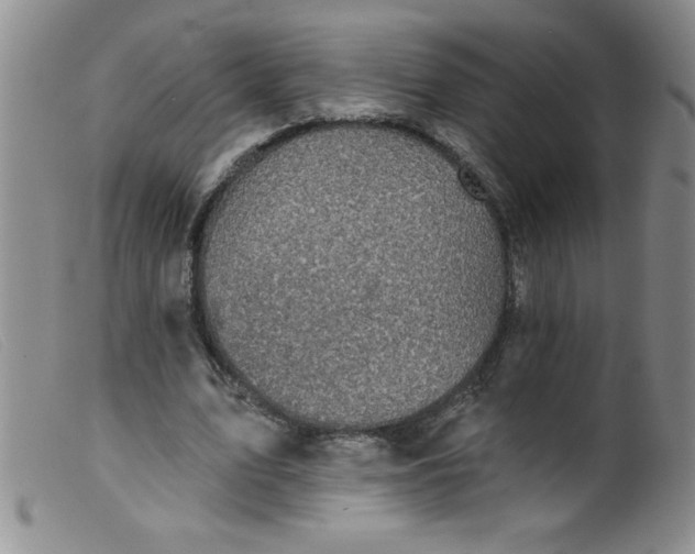X0000099480583200805231858