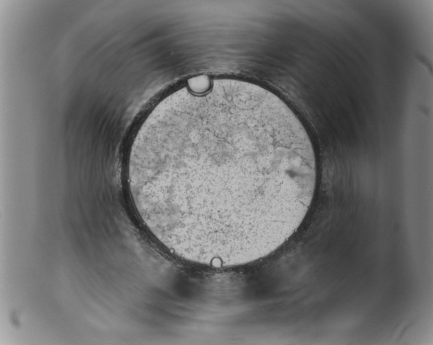 X0000099480584200805231858