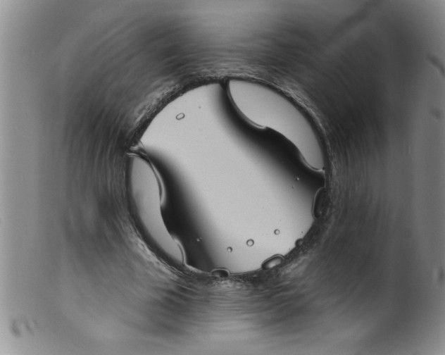 X0000099480585200805231857